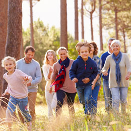 succession-donation de foret
